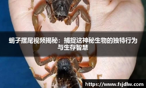 星欧娱乐登录